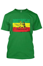 Load image into Gallery viewer, Lion Of Judah