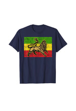 Load image into Gallery viewer, Lion Of Judah